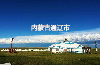 通遼市智慧政協(xié)平臺