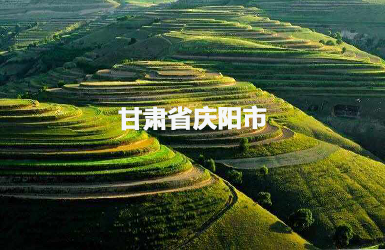 慶陽市人大常委會履職平臺